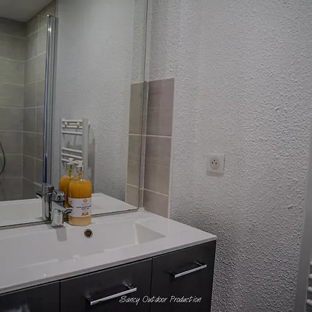 Les Dahlias Apartment *